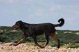 BEAUCERON 708